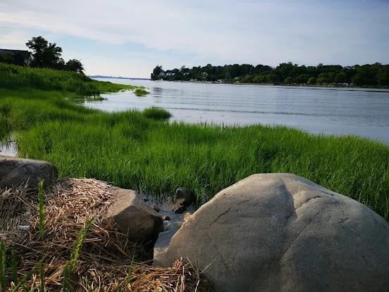 Udall's Cove Park Preserve