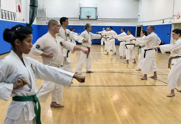 Ueshiro Midtown Karate Dojo