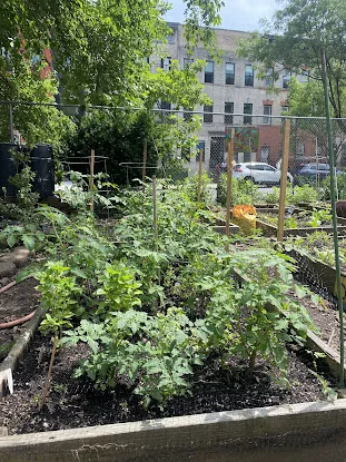 Umoja Community Garden