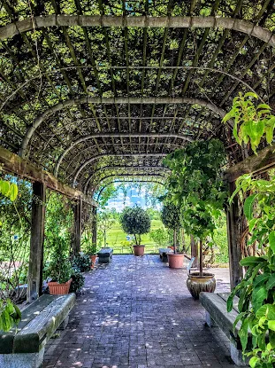 United States National Arboretum