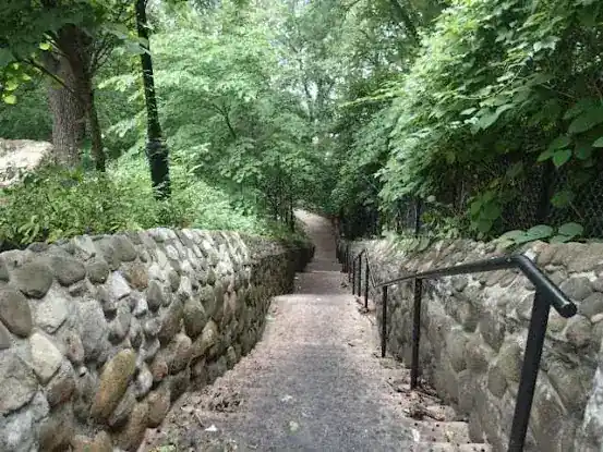 University Woods
