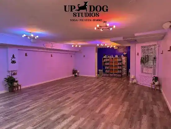 Up Dog Studios Upper West Side