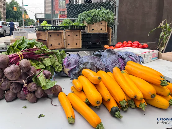 Uptown Good Food Farm Stand & CSA