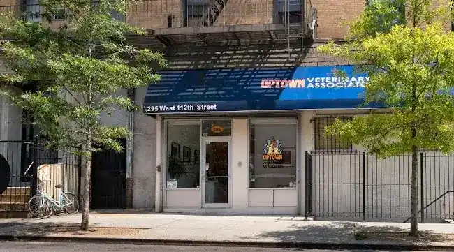 Uptown Veterinary Associates