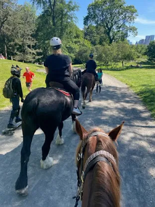 Urban Equine Escapes NYC