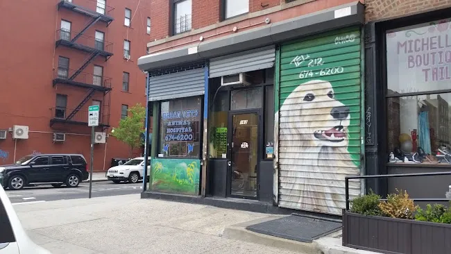 Urban Vets Animal Hospital
