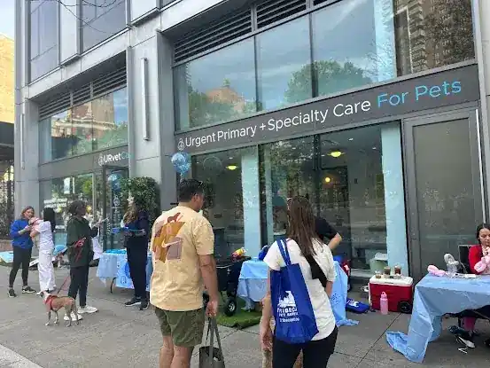 URvet Care Tribeca (URvet Care Midtown Medical Center Open 24/7)