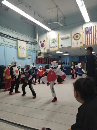 USA Martial Arts Fighting
