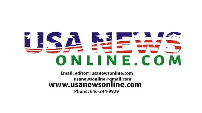 USA NEWS ONLINE INC
