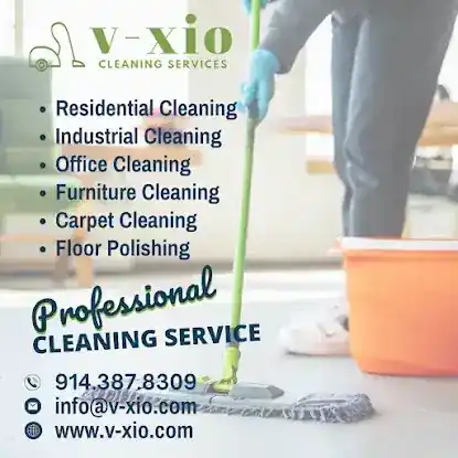 V-xio Cleaning Services