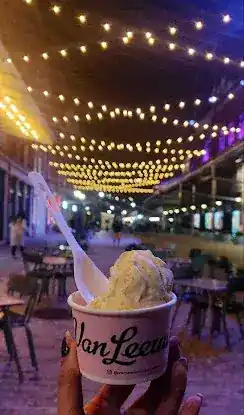 Van Leeuwen Ice Cream