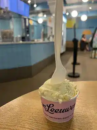 Van Leeuwen Ice Cream