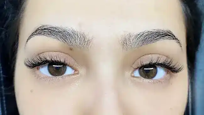 Vanity Lash Co.