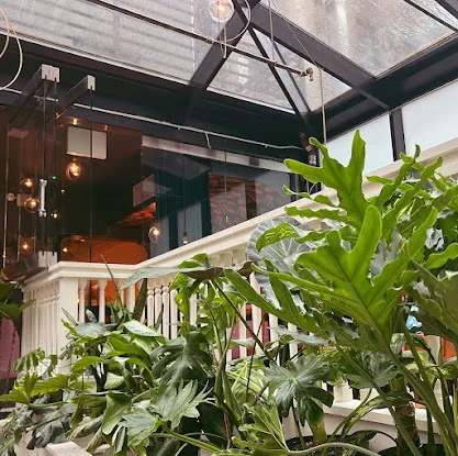 Variegated NYC - Interior Plant Design & Plant Rentals