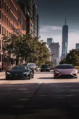 Veluxity Exotic Car Rental NYC
