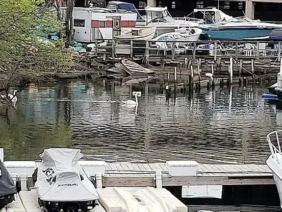 Venice Marina