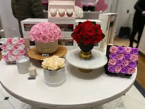 Venus et Fleur