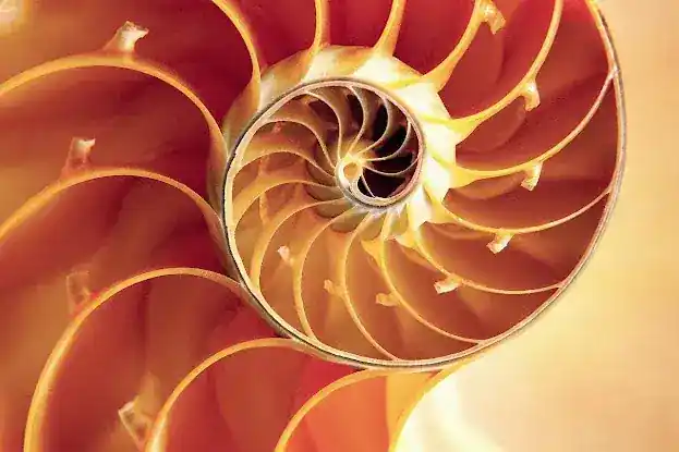 Vernon Consulting, Inc