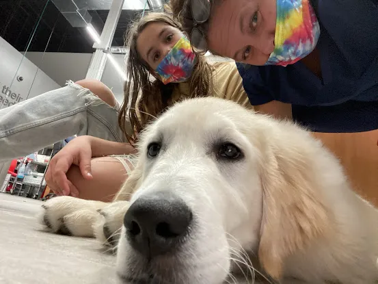 Veterinary Emergency Group