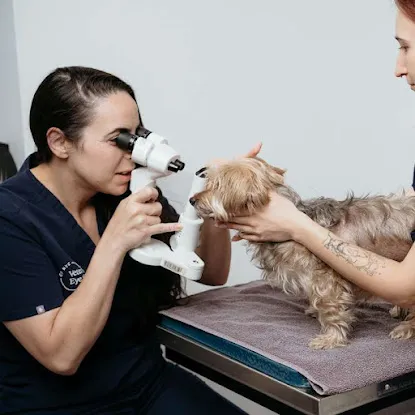 Veterinary Eye Center of New York City (Long Island City)