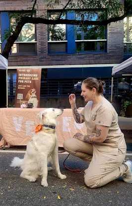 Vetted Pet Health - Chelsea