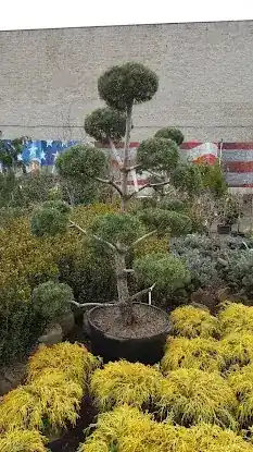 Victory Nursery & Landscaping Inc.