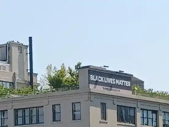 Vinegar Hill Veterinary Group