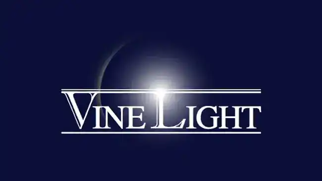 VineLight Holdings