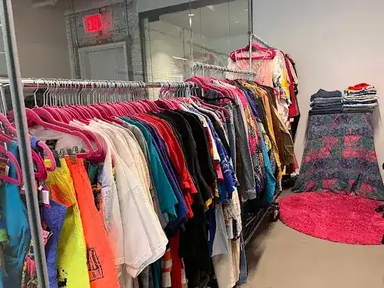 Vintage Clothing Pink Apocalypse