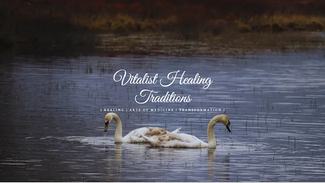 Vitalist Healing Traditions - Dr. Carina Lopez - Your 'Holistic Doctor Near Me' - Naturopathic Doctor NYC