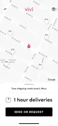 VIVI DELIVERIES