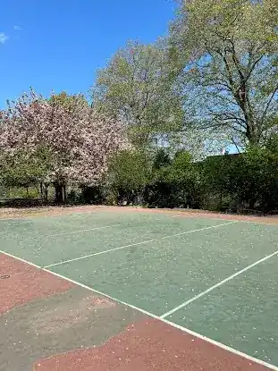 Volleyball Court