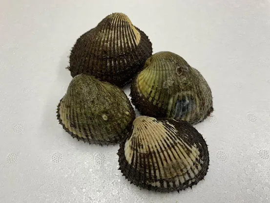 W & E Seafood Wholesale