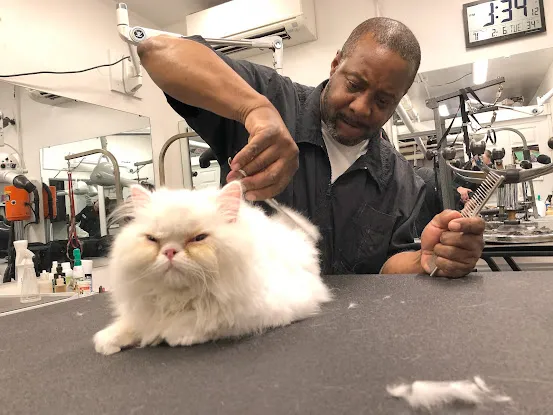 Walter's Pet Styles