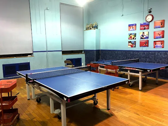 Wang Chen Table Tennis Club