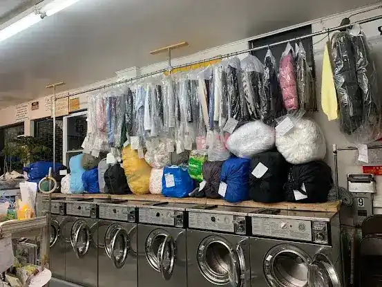 Wash & Dry Laundry Care