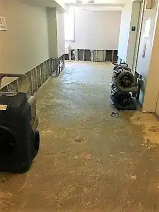 Water Damage Cleanup