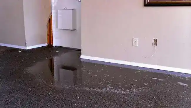 Water Damage Cleanup & Restoration