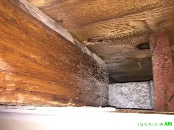 Water Damage Restoration DRY EASE