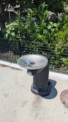 Water fountain