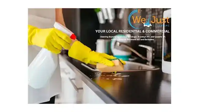 We Just Clean New York