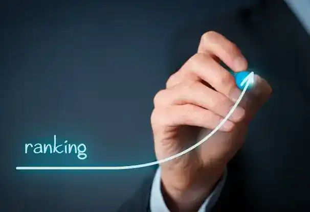 Web Team Management NYC: Best SEO Company for Local SEO and Website Design Company, New York and New Jersey