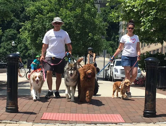 Weehawken Dog Walking