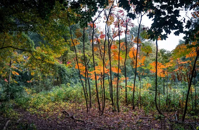 Weinberg Nature Center