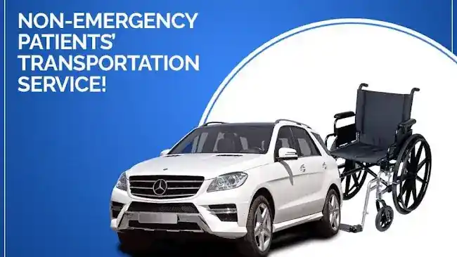 Wellness Transit LLC