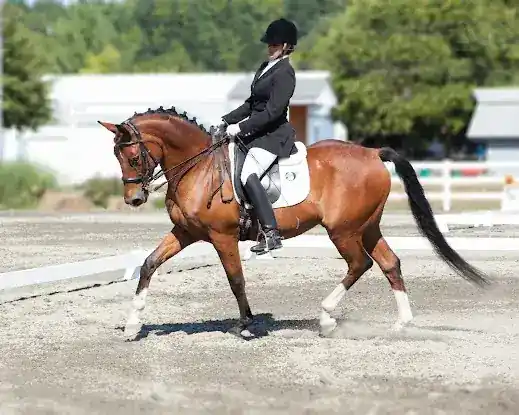 Weltbrook Training Center