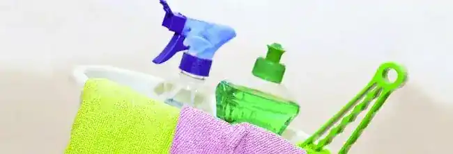 Wendpanga Super Shiny Cleaning Service