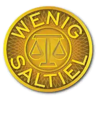 Wenig Saltiel LLP