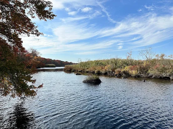 Wertheim National Wildlife Refuge