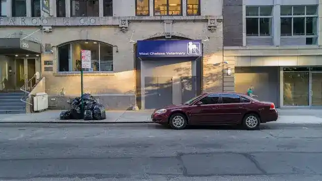 West Chelsea Veterinary